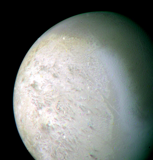 Triton